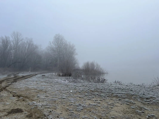 Frosty winter morning