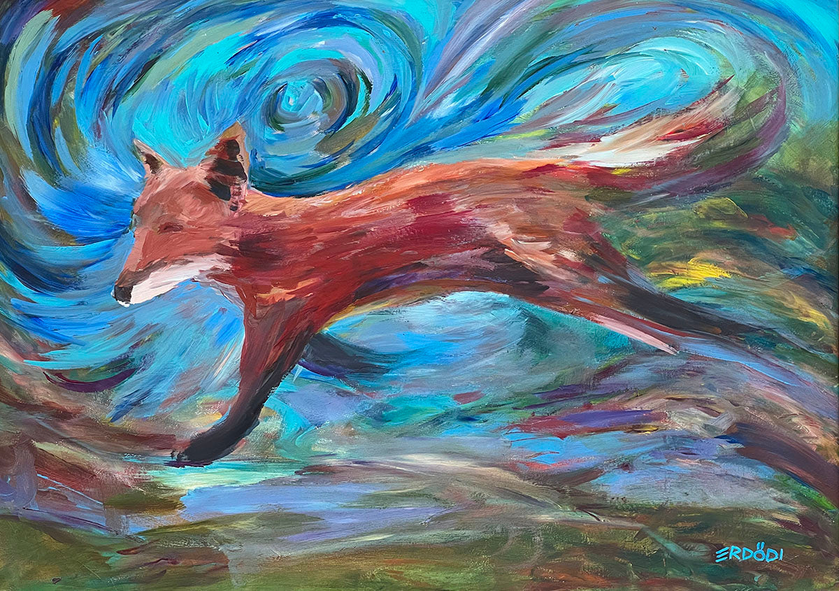 Curious fox